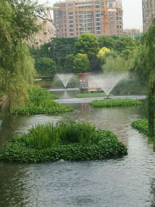 沉水式鼓黄瓜视频在线下载-河道治理
