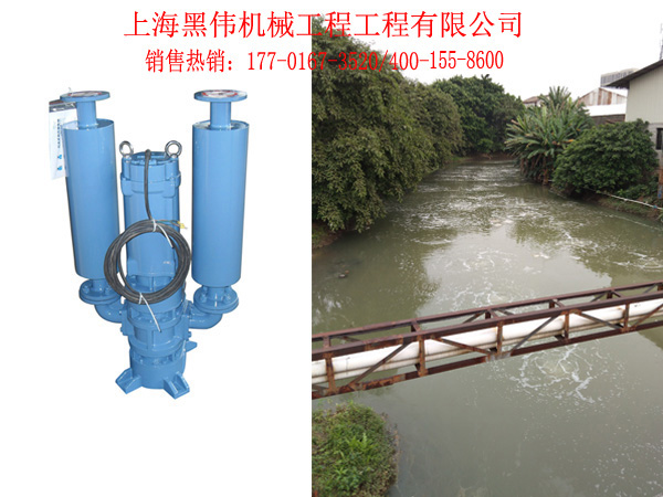 沉水鼓黄瓜视频在线下载