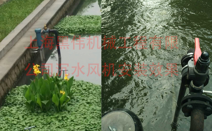 沉水黄瓜视频在线下载在施工現場如何安裝？