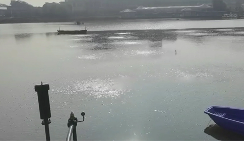 黄瓜视频黄片沉水黄瓜视频在线下载助力杭州蕭山區某河道生態治理